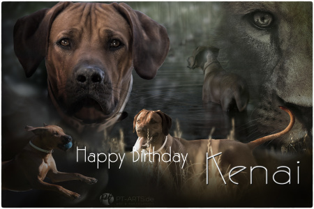 Kenai-Happy-Birthday-2web